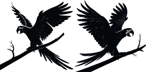 Colorful Parrot Flying Silhouette - Tropical Bird Vector Art