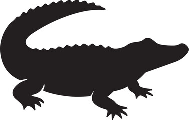 lizard on a white background
