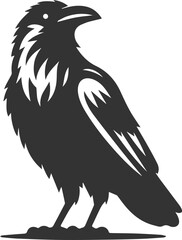 Black bird vector crow silhouette