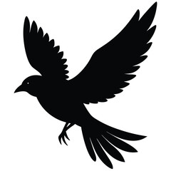 Coral Bird Silhouette Vector Illustration
