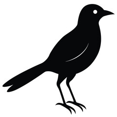 Mocha Bird Silhouette Vector Illustration