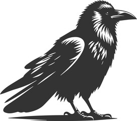 Black bird vector crow silhouette