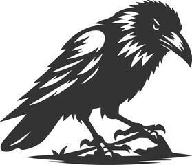Black bird vector crow silhouette