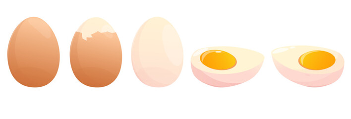 Boiled eggs. Peeled and in shell. Diet food. Prepared product. Cooked yolk cutting. Whole and half isolated eggshells. Natural protein. Healthy meal. Vector chicken ingredients set
