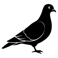 Black Silhouette of a Single Pigeon Bird