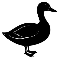 Black Silhouette of a Domestic Duck Bird