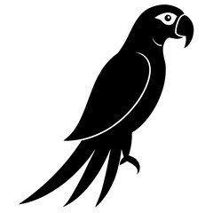 Black Silhouette of a Parrot Perched Sideways