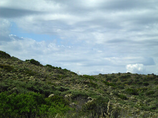 Natura