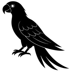 Black Silhouette of a Parrot Bird Illustration