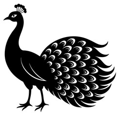 Elegant Black and White Peacock Silhouette Illustration