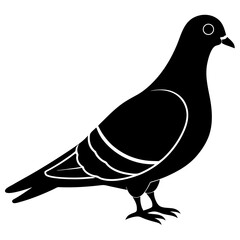 Black Silhouette of a Pigeon Bird Icon