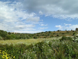 Natura