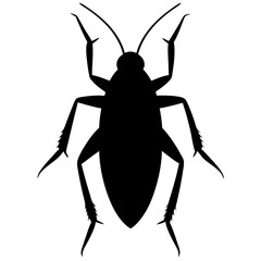 Black Cockroach Silhouette Top View Illustration