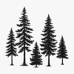 Hand drawing a tree pine silhouette vector