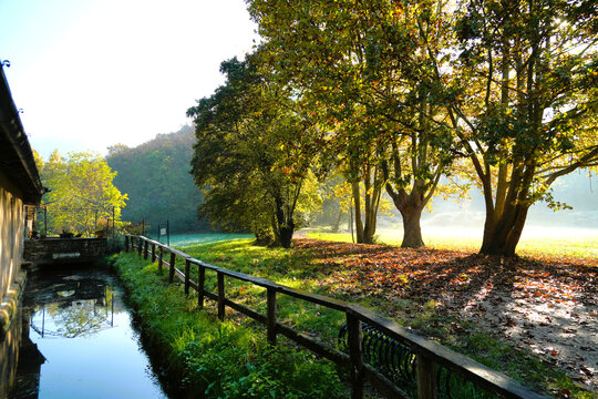 Veduta autunnale di boschi nebbiosi alla confluenza con il Lago d'Iseo. Provincia di Brescia, Lombardia, Italia.
