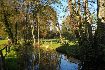 Veduta autunnale di boschi nebbiosi alla confluenza con il Lago d'Iseo. Provincia di Brescia, Lombardia, Italia.