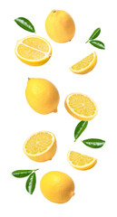 lemon slices isolated on transparent png background