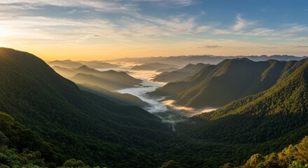 Naklejka premium Mountain valley blanketed in mist at dawn