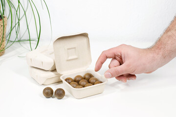 organic capsules for coffee machine