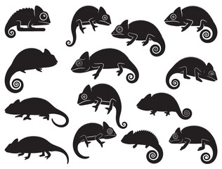 CHAMELEON SILHOUETTE