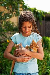 Cute girl with pigtails holding little ginger kitten in her arms. Concept animal care, children and animals. Vetricular photography