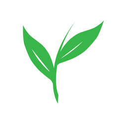 Fototapeta premium Flat design illustration of leaf icon. Green leaf icon illustration. Green leaf illustration 