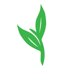 Flat design illustration of leaf icon. Green leaf icon illustration. Green leaf illustration 