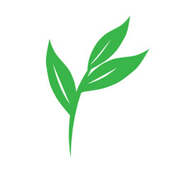Flat design illustration of leaf icon. Green leaf icon illustration. Green leaf illustration 