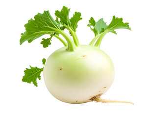 Close-up of a fresh kohlrabi vegetable. Isolated transparent background