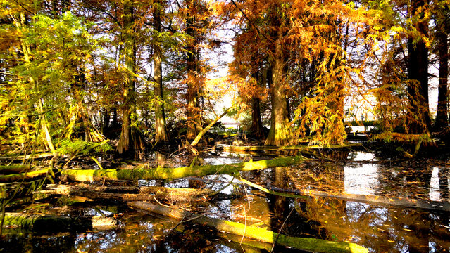 Veduta autunnale del parco naturale protetto dei Tassodi, nei pressi di Sarnico e Paratico, sul lago d'Iseo. Provincia di Bergamo, Lombardia, Italia.
