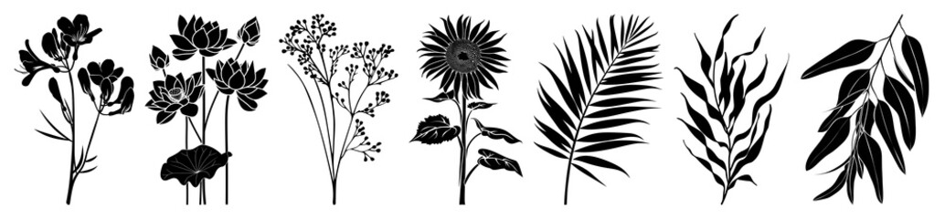Fototapeta premium PNG Botanical silhouettes in black, element set on transparent background
