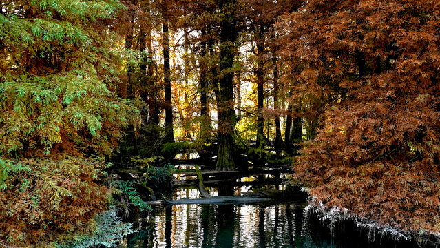 Veduta autunnale del parco naturale protetto dei Tassodi, nei pressi di Sarnico e Paratico, sul lago d'Iseo. Provincia di Bergamo, Lombardia, Italia.