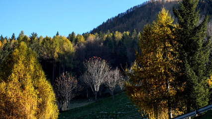 Veduta autunnale delle montagne della valle dell'Oglio alla confluenza con il lago d'Iseo....