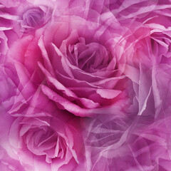 Seamless floral  background. Flowers  roses  and petals.  Close up.
