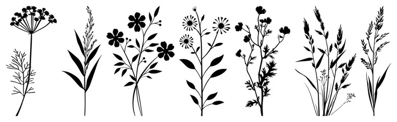 PNG Botanical silhouettes evoke natural elegance, element set on transparent background