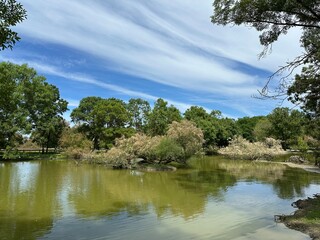 marais aux oiseaux de Dolus d'Oléron