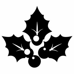 black and white star