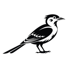 Naklejka premium Minimalist phoebe bird black silhouette vector