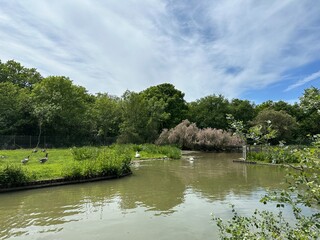 marais aux oiseaux de Dolus d'Oléron