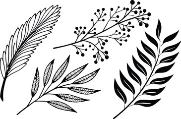 Obraz premium Boho Botanical Bundle Silhouette Design for Crafts and Decor. Botanical Silhouette Bundle with Boho Style Elements. Aesthetic Boho Botanical Silhouette Collection for Designers