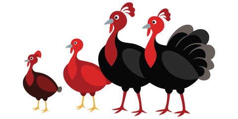 Four Turkeys in Different Sizes