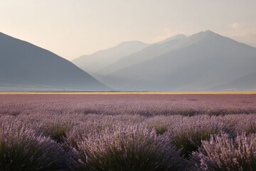 Obraz premium breathtaking view of lavender mountain bathed in soft morning light showcasing delicate hues of lavender fields