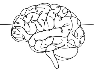 Artistic line drawing of a human brain