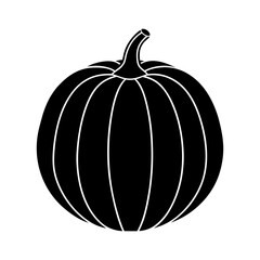 Silhouette of a pumpkin with vertical line details