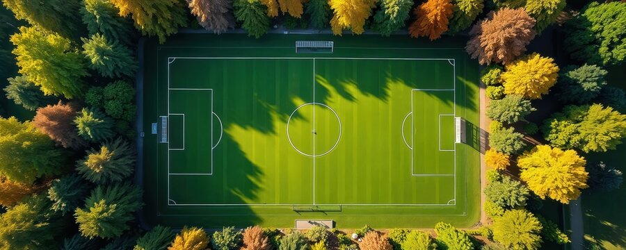 Aerial view soccer field green grass surrounded by trees, sunny weather. Sport pitch lines, goals. Landscape park with forest trees, shadows. Game, team competition. Outdoor recreation, top view.
