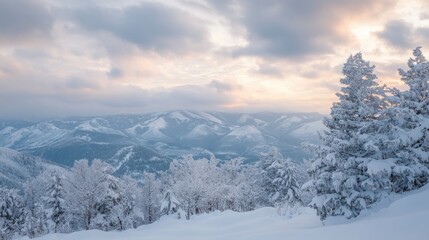 Majestic winter mountain landscape at sunrise with snow covered trees