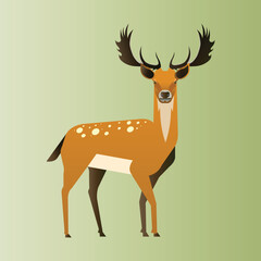 deer vector illustration