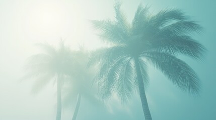 Photograph of palm trees blowing in the wind during a hurricane on a tropical island.