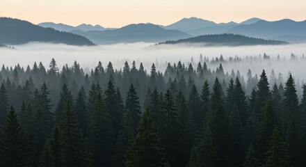Misty mountain forest serene landscape foggy mountains and evergreen trees