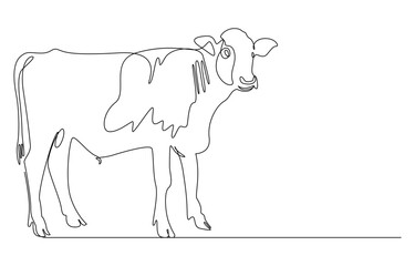continuous line cow with head down,Domestic cattle. Animal. Linear minimal style. 